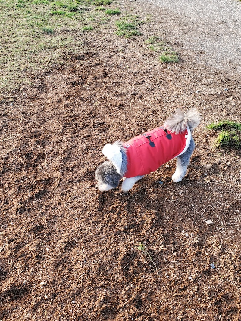 Panorama Dog Off-Leash Area dog park in Surrey, British Columbia