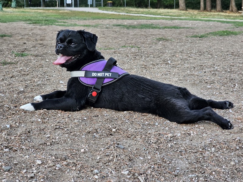 Panorama Dog Off-Leash Area dog park in Surrey, British Columbia