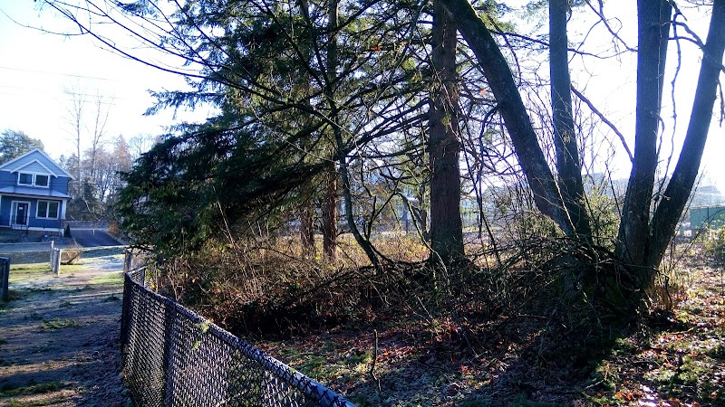 Wills Brook Dog Park dog park in Surrey, British Columbia