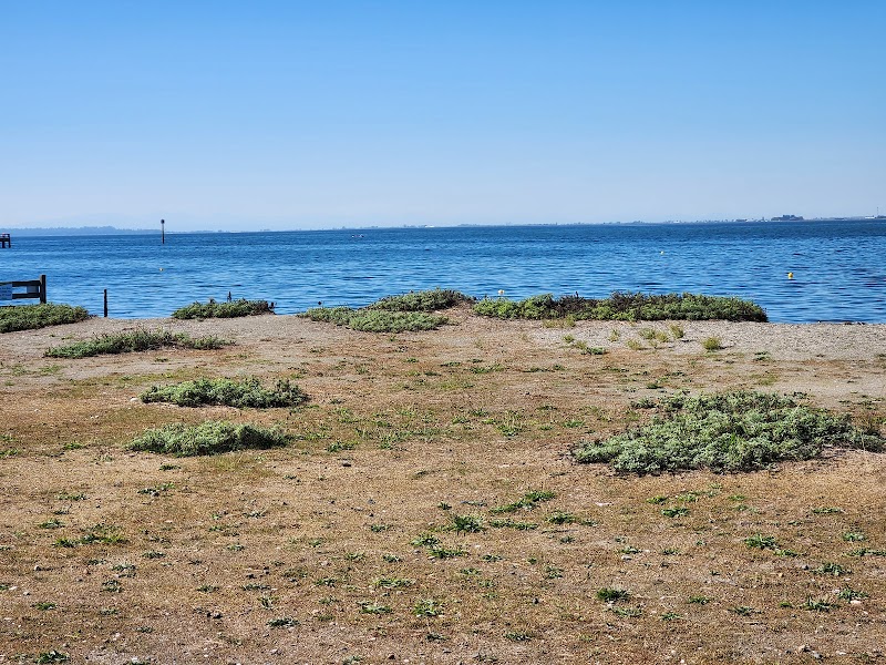 Dog Off-leash Swimming Beach dog park in Surrey, British Columbia