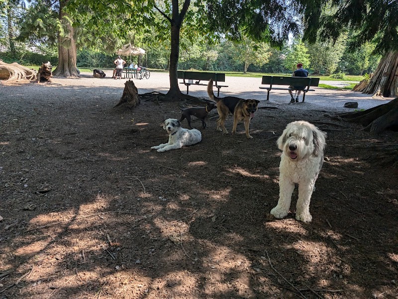 North Bonson Park dog park in Pitt Meadows, British Columbia