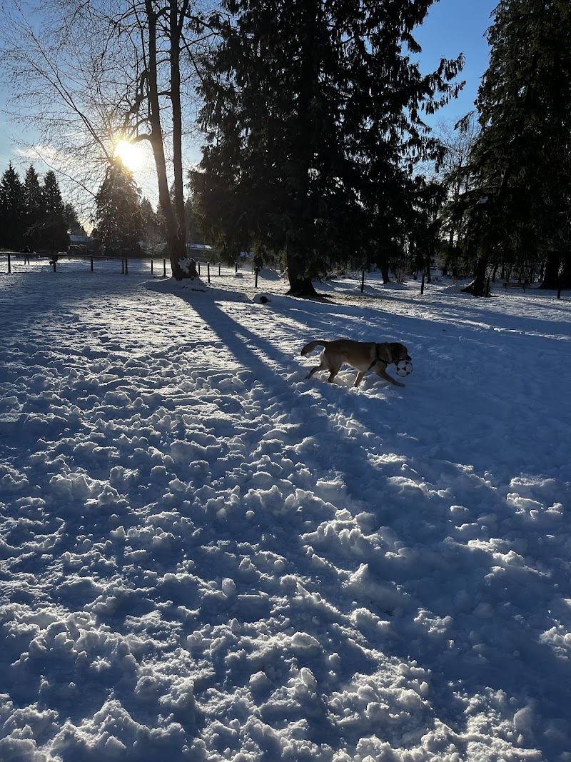North Bonson Park dog park in Pitt Meadows, British Columbia