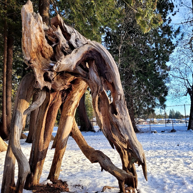 North Bonson Park dog park in Pitt Meadows, British Columbia