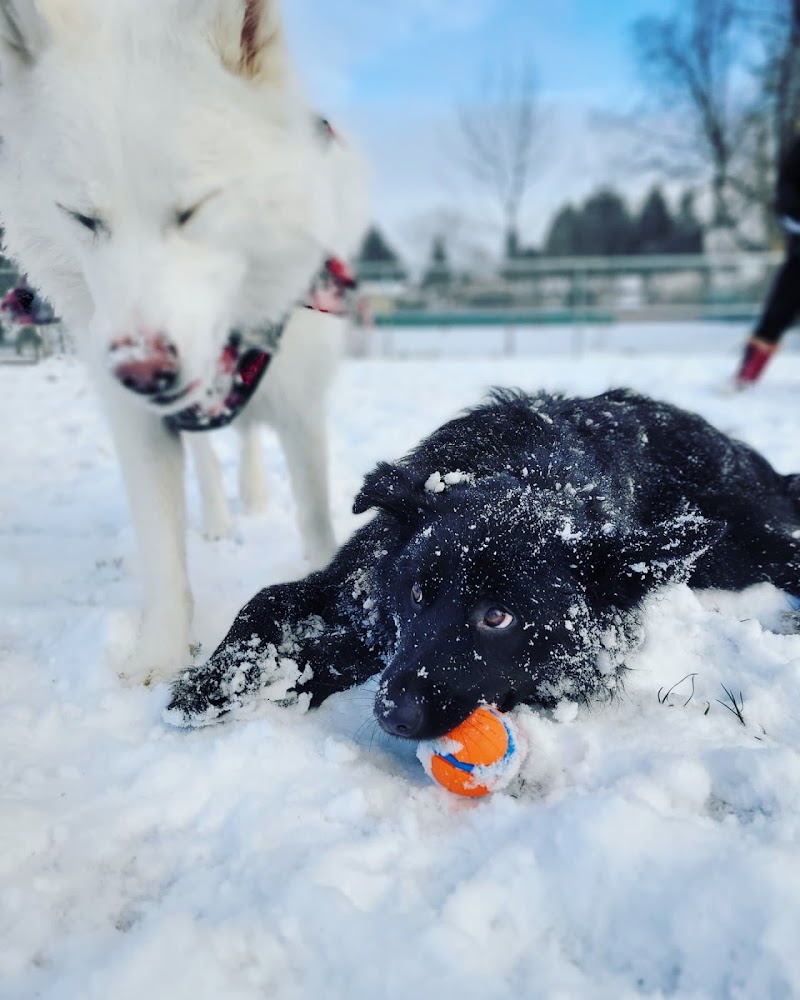 Delview Dog Park dog park in Delta, British Columbia