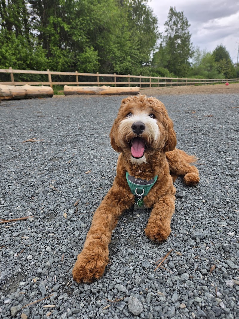 Pebble Hill Park Off Leash Area dog park in Delta, British Columbia