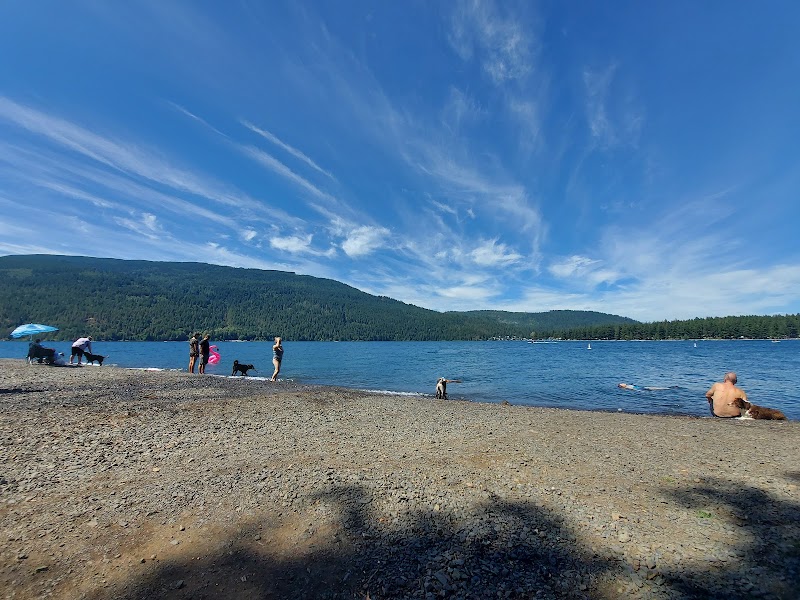 Dog-friendly beach dog park in Cultus Lake, British Columbia