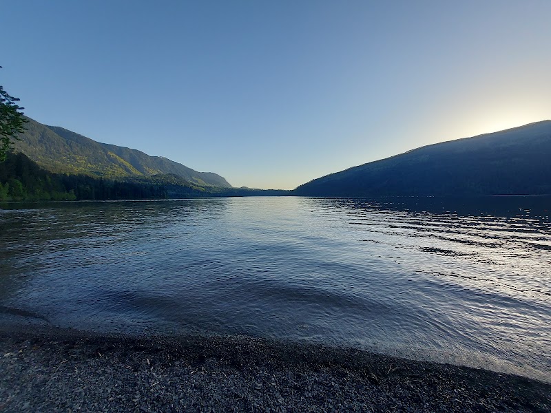 Dog-friendly beach dog park in Cultus Lake, British Columbia