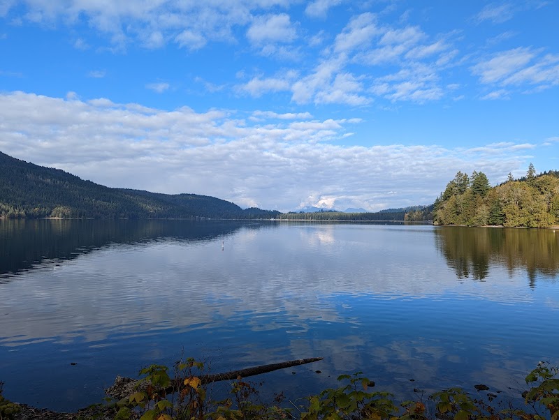 Dog-friendly beach dog park in Cultus Lake, British Columbia