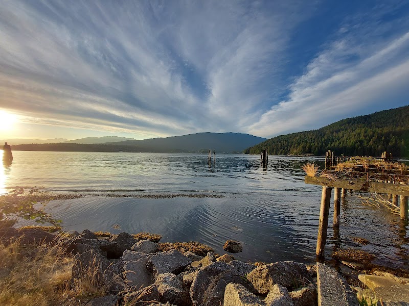 Drummond's Walk Dog Off-leash Trail dog park in Burnaby, British Columbia