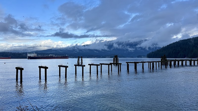 Drummond's Walk Dog Off-leash Trail dog park in Burnaby, British Columbia