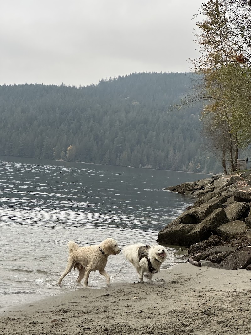 Drummond's Walk Dog Off-leash Trail dog park in Burnaby, British Columbia
