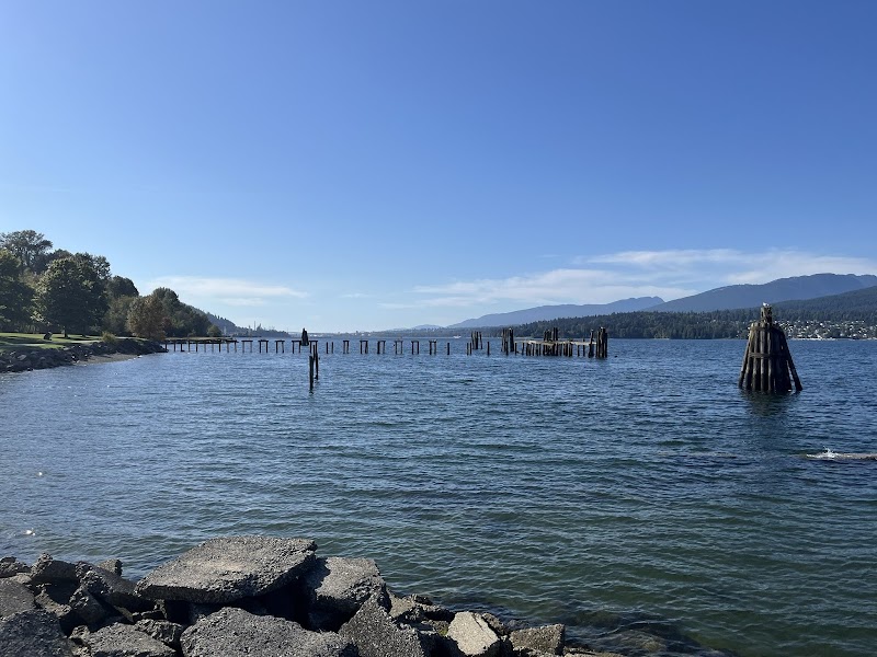 Basti Beach dog park in Burnaby, British Columbia