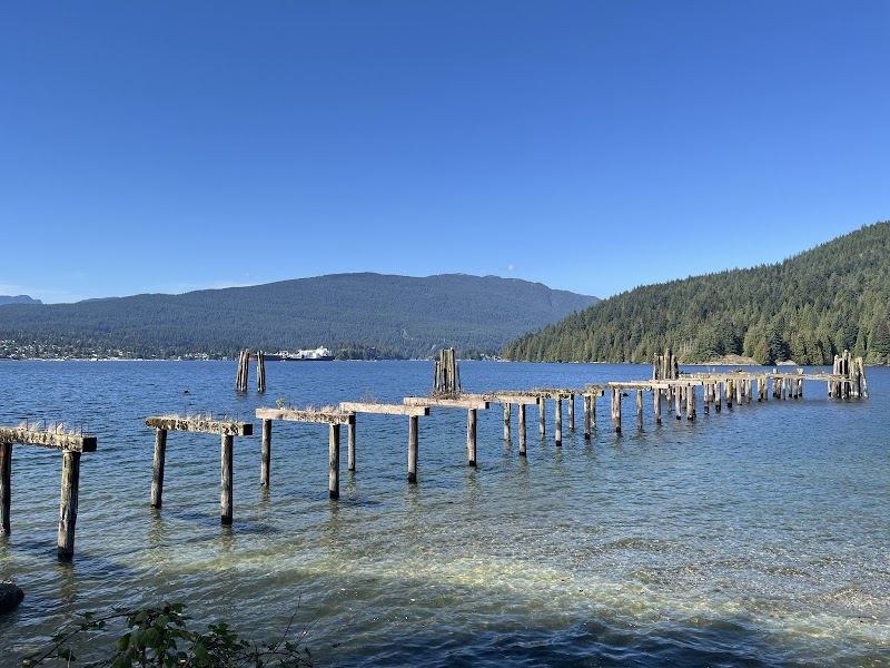 Basti Beach dog park in Burnaby, British Columbia