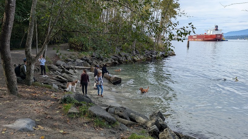 Basti Beach dog park in Burnaby, British Columbia