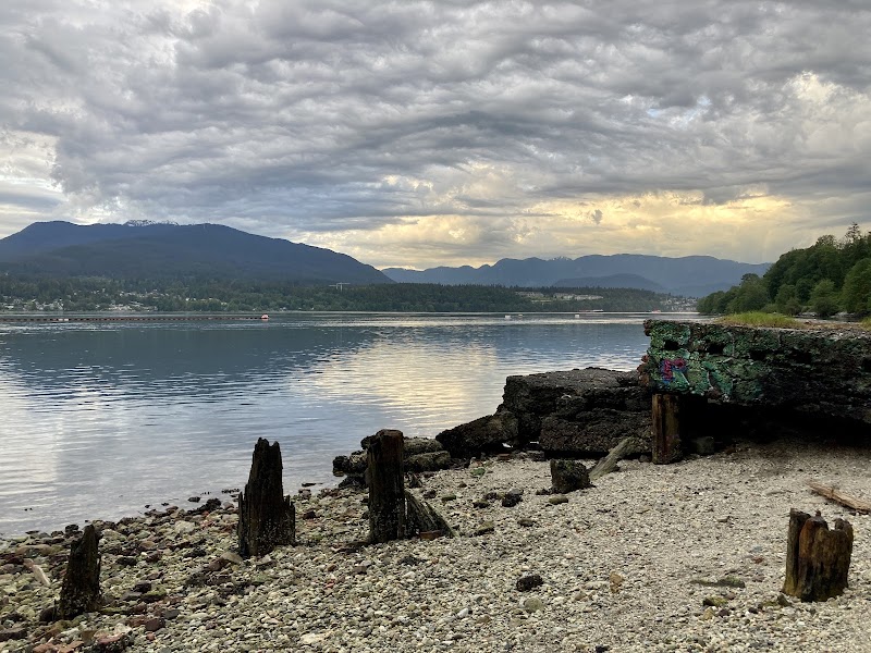 Confederation Park trail dog park in Burnaby, British Columbia