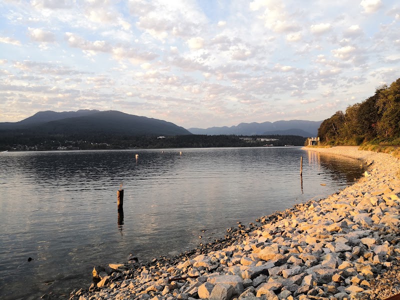 Confederation Park trail dog park in Burnaby, British Columbia