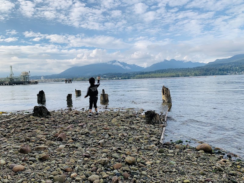 Confederation Park trail dog park in Burnaby, British Columbia