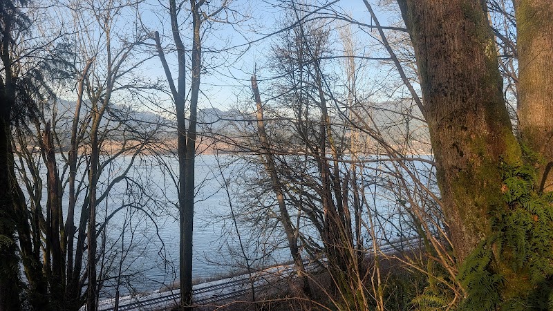 Confederation Park Off-Leash Trail dog park in Burnaby, British Columbia