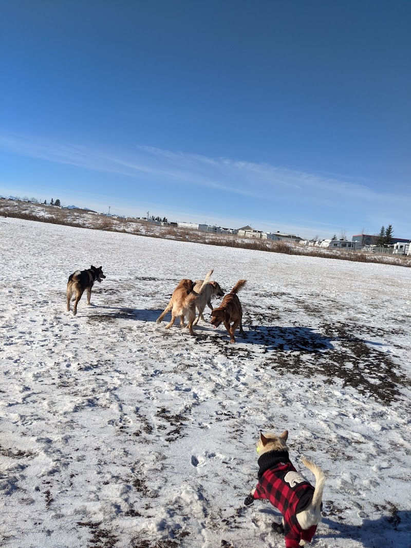 Springbank Off-leash Dog Park dog park in Calgary, Alberta