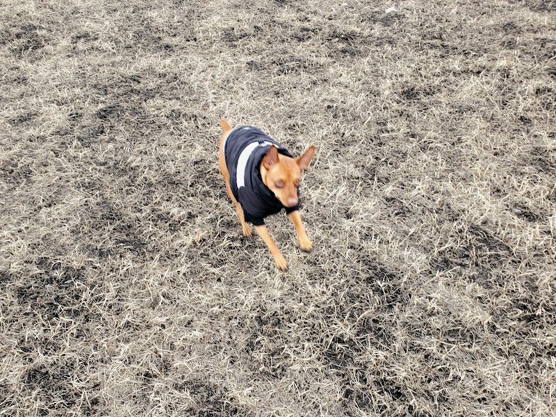 Springbank Off-leash Dog Park dog park in Calgary, Alberta