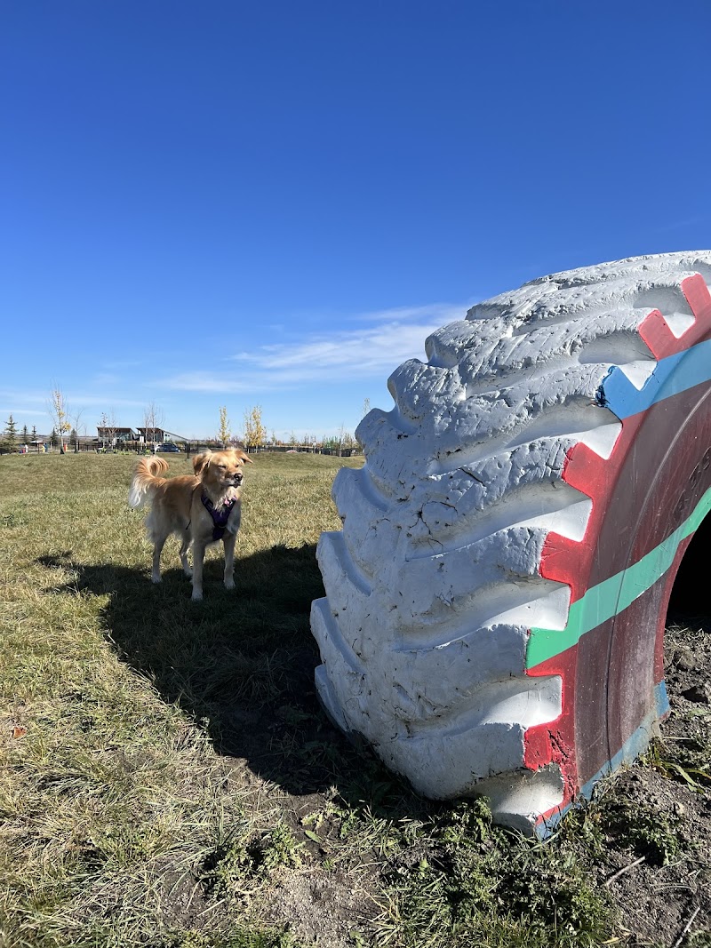 Harmony Dog Park dog park in Calgary, Alberta