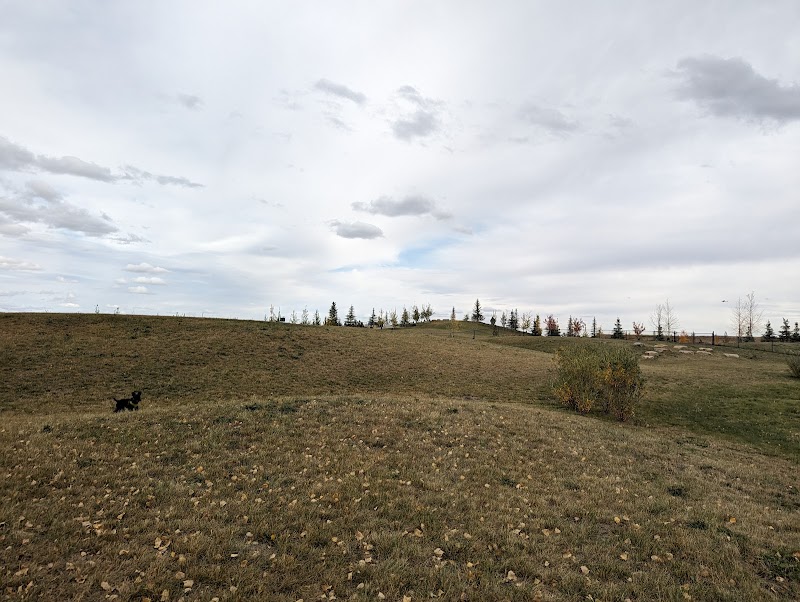 Harmony Dog Park dog park in Calgary, Alberta