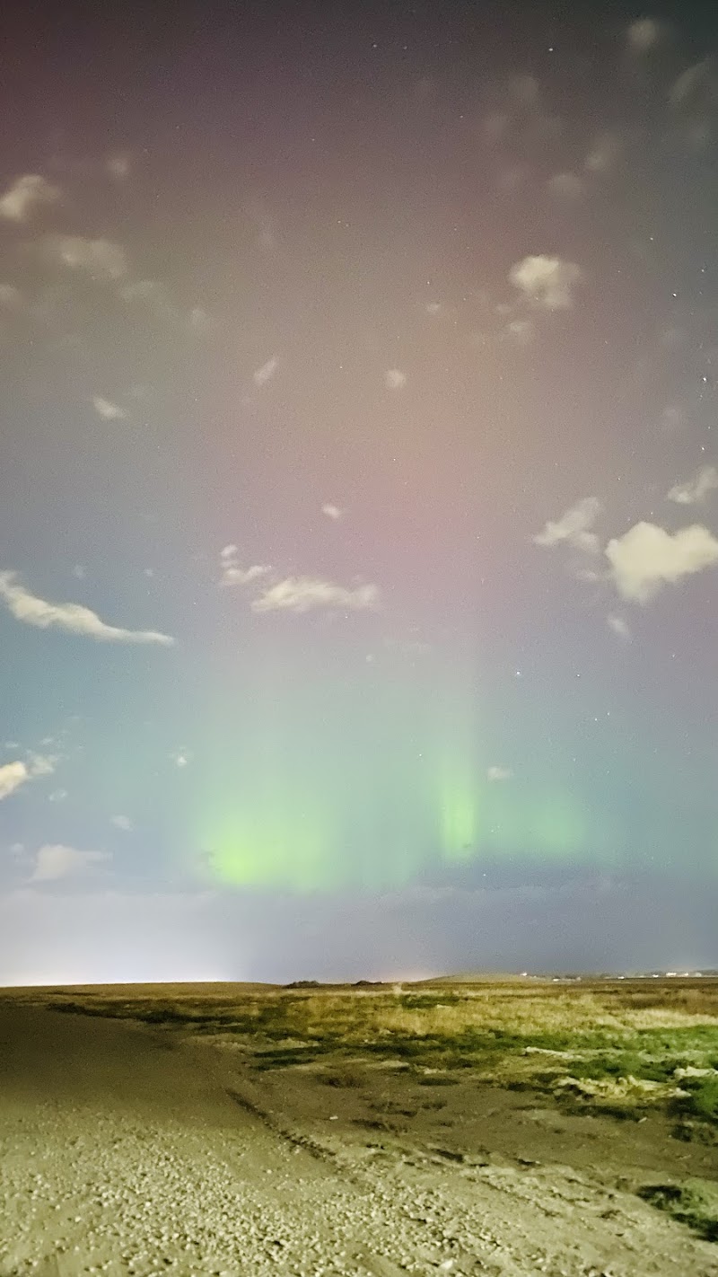 Livingston Off Leash Dog Park dog park in Calgary, Alberta