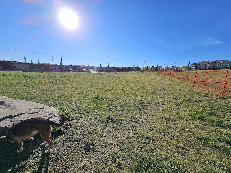 Harvest Hills Off Leash Area dog park in Calgary, Alberta
