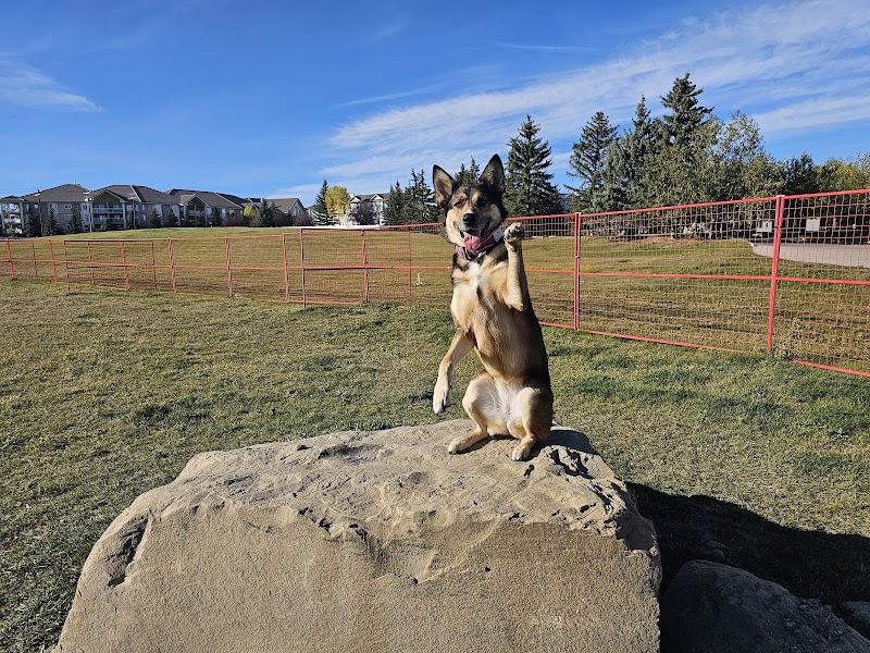 Harvest Hills Off Leash Area dog park in Calgary, Alberta