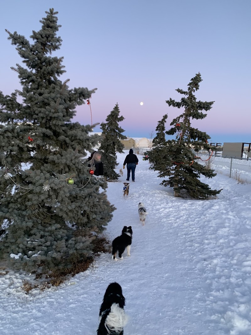 East Lake Small Dogs Park dog park in Airdrie, Alberta