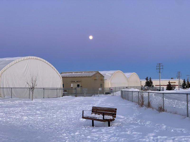 East Lake Small Dogs Park dog park in Airdrie, Alberta