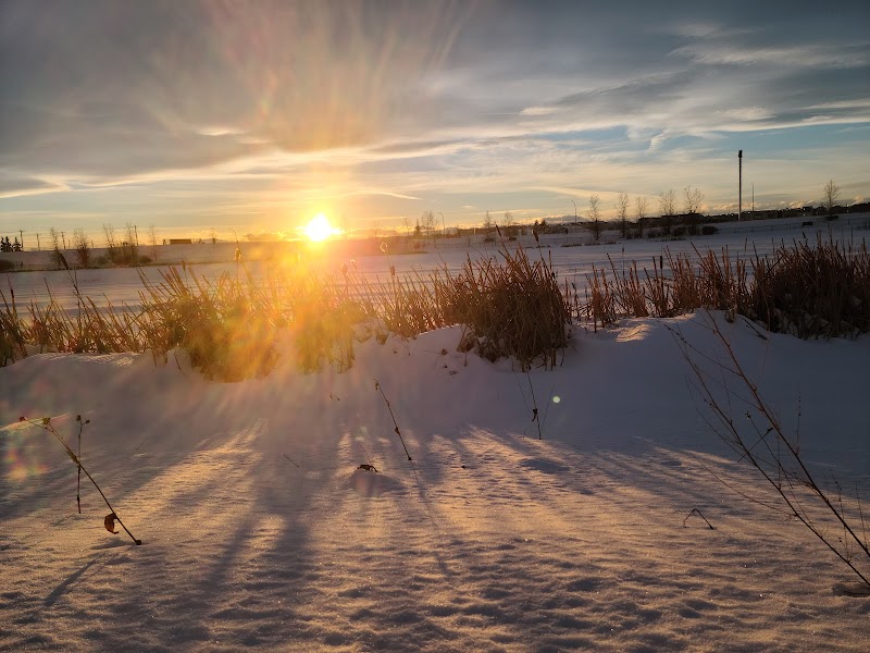 Kings Heights Off-Leash Park dog park in Airdrie, Alberta