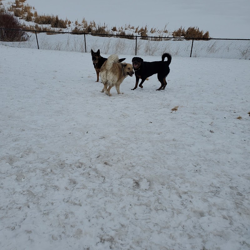 Kings Heights Off-Leash Park dog park in Airdrie, Alberta