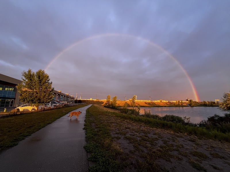 Kings Heights Off-Leash Park dog park in Airdrie, Alberta
