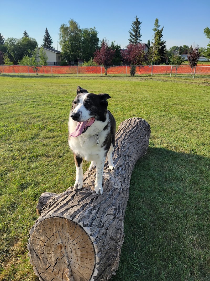 Nose Creek Off-Leash Park dog park in Airdrie, Alberta