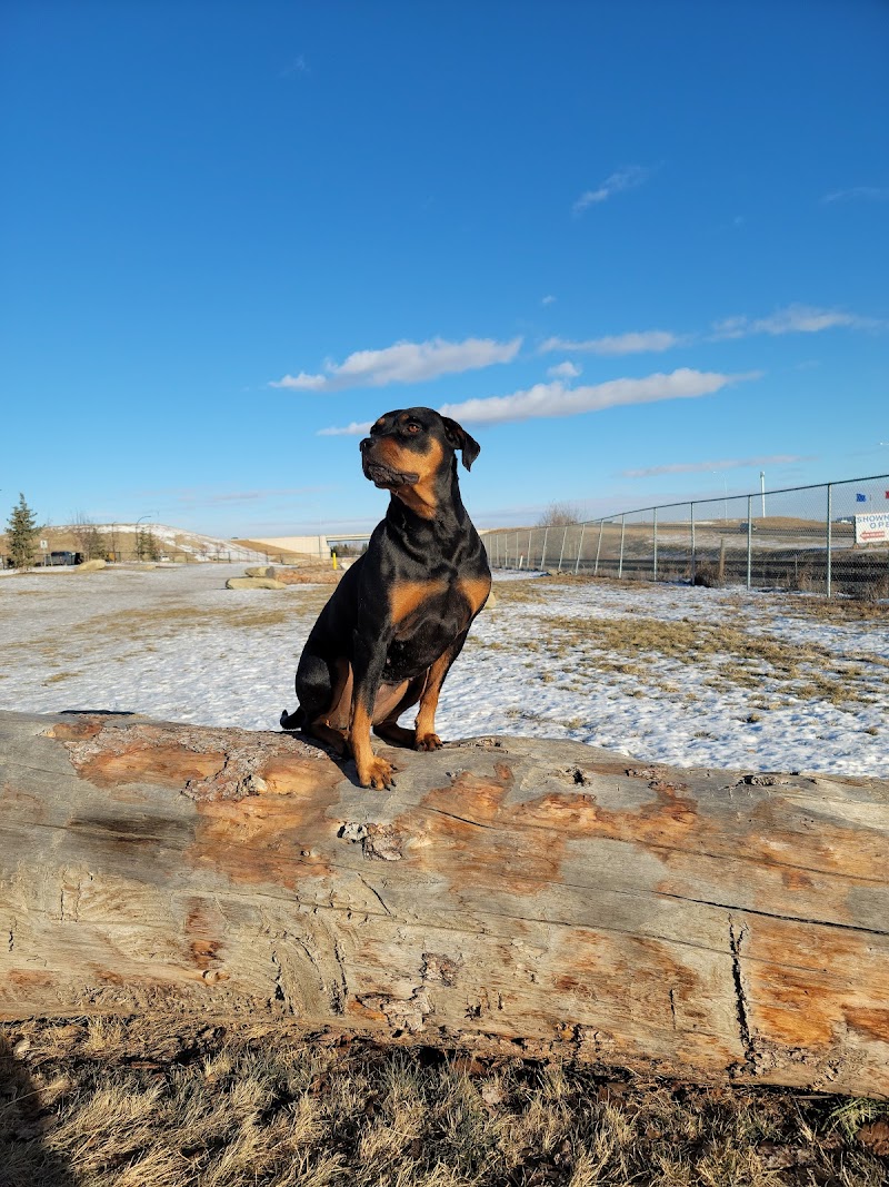 SouthPoint Small Dog Off-leash Dog Park dog park in Airdrie, Alberta