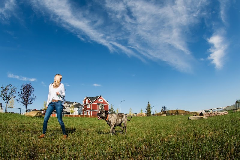 SouthPoint Small Dog Off-leash Dog Park dog park in Airdrie, Alberta