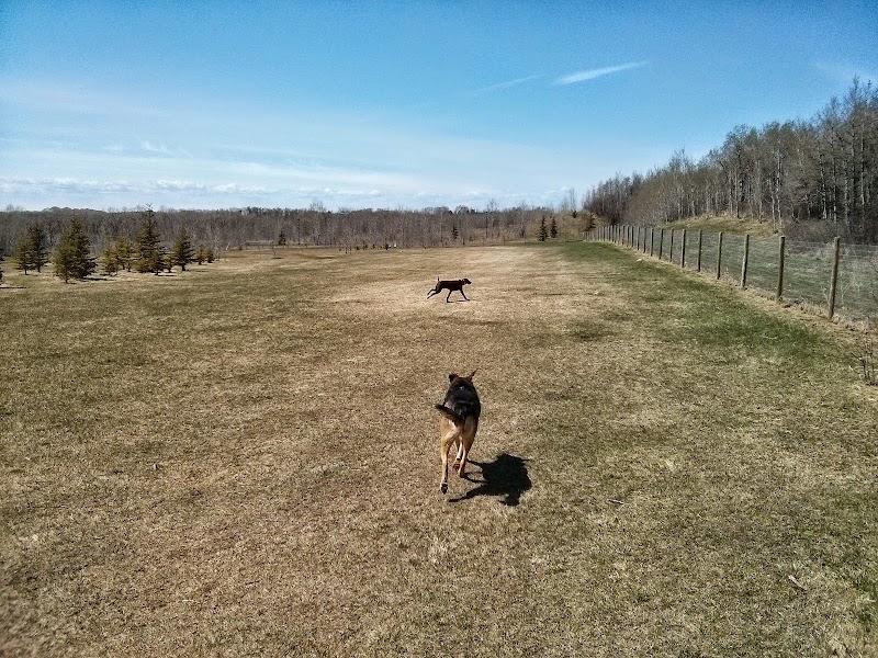 Upper Centennial Off Leash Dog Park dog park in Innisfail, Alberta