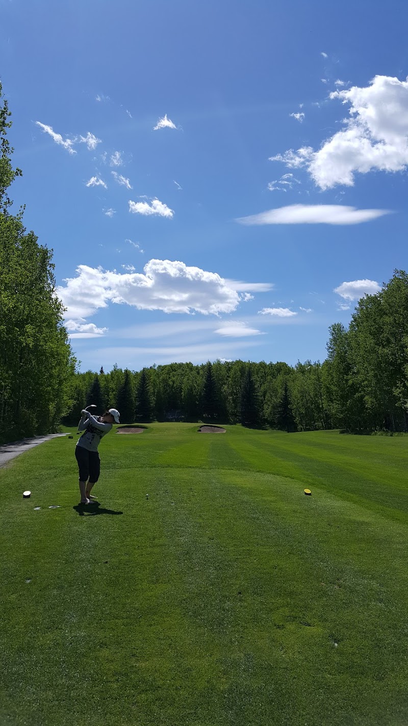 Upper Centennial Off Leash Dog Park dog park in Innisfail, Alberta