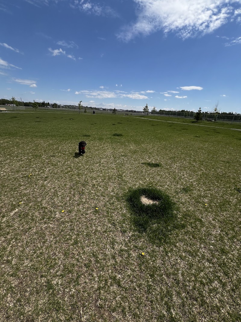 Beaumont Small Dog Off Leash Dog Park dog park in Beaumont, Alberta