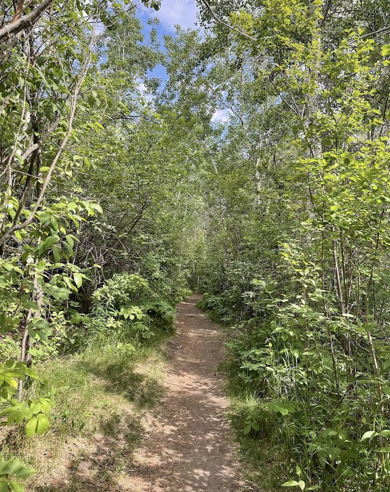 Hermitage Dog Park dog park in Edmonton, Alberta