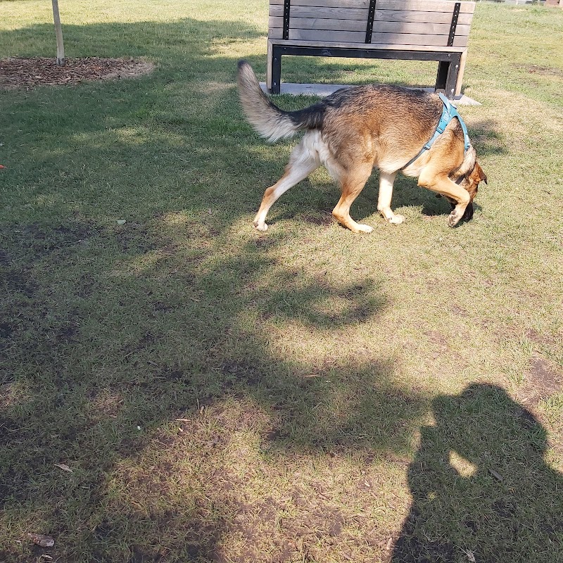 Glengarry Off-Leash Dog Park dog park in Edmonton, Alberta