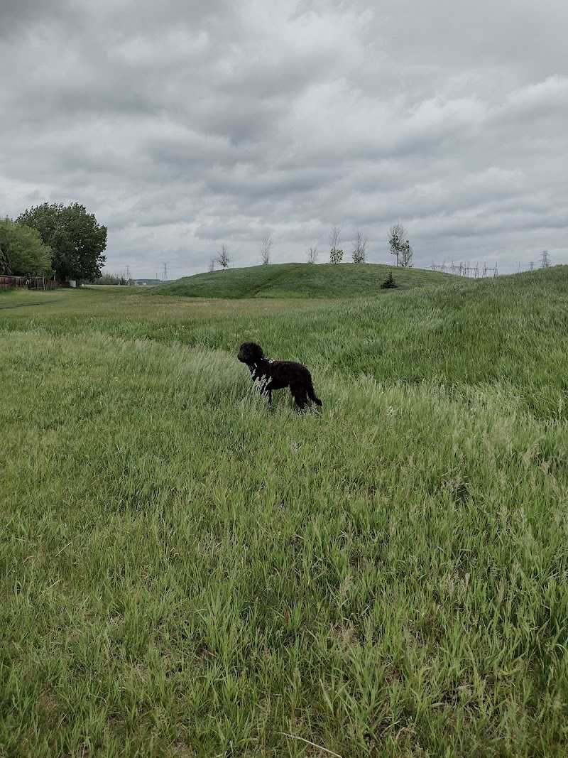 Satoo Dog Park dog park in Edmonton, Alberta
