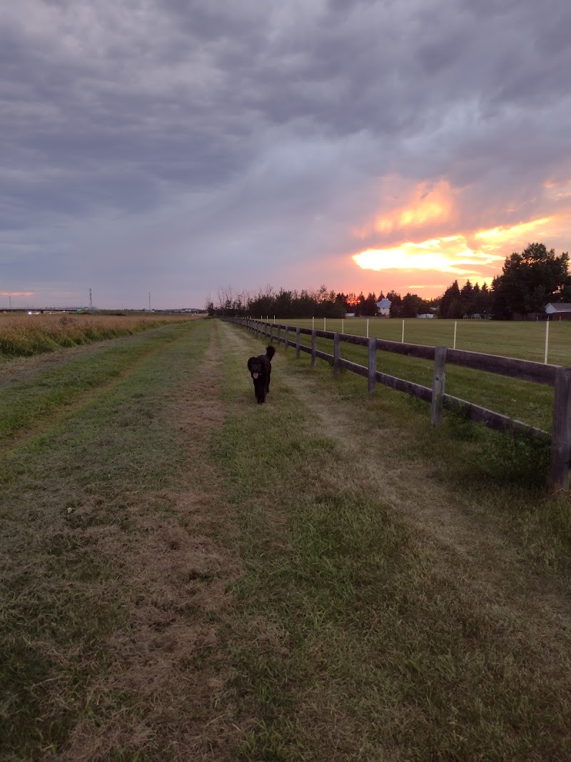 Satoo Dog Park dog park in Edmonton, Alberta