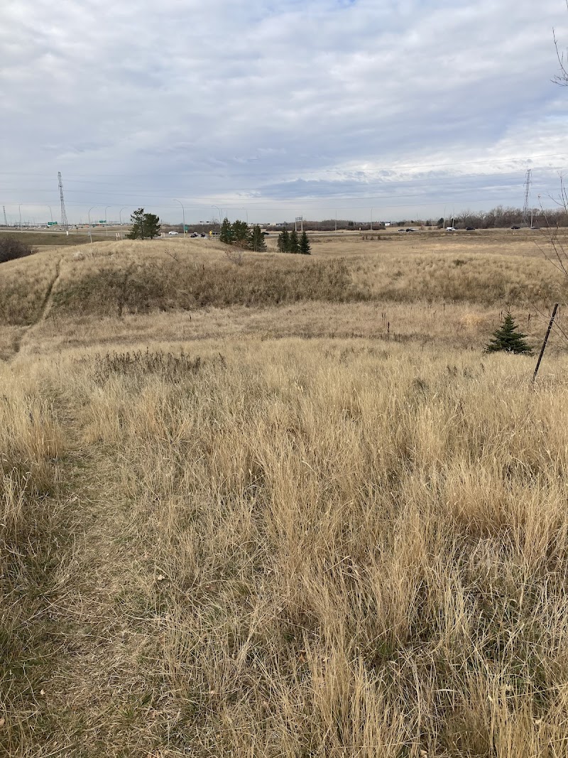 Satoo Dog Park dog park in Edmonton, Alberta