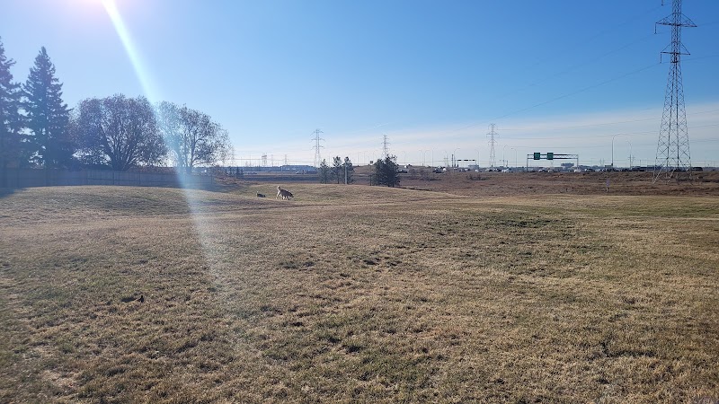 Satoo Dog Park dog park in Edmonton, Alberta