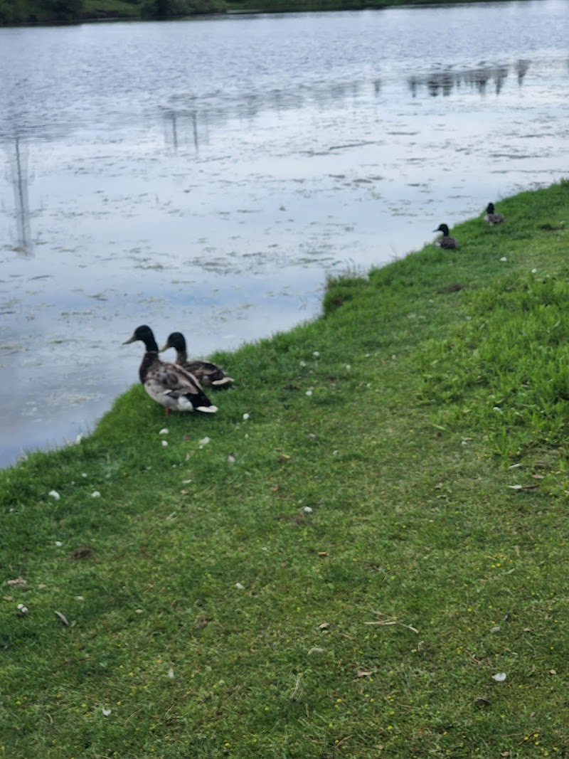North Hermitage Park dog park in Edmonton, Alberta