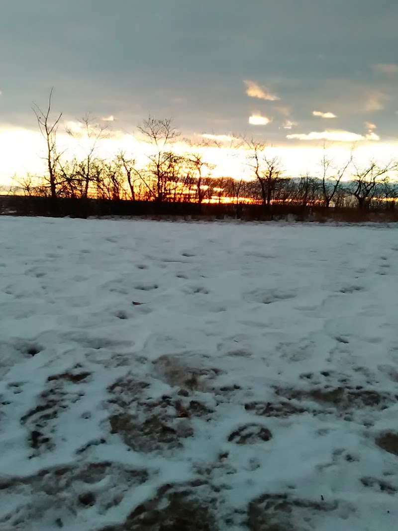 North Hermitage Park dog park in Edmonton, Alberta