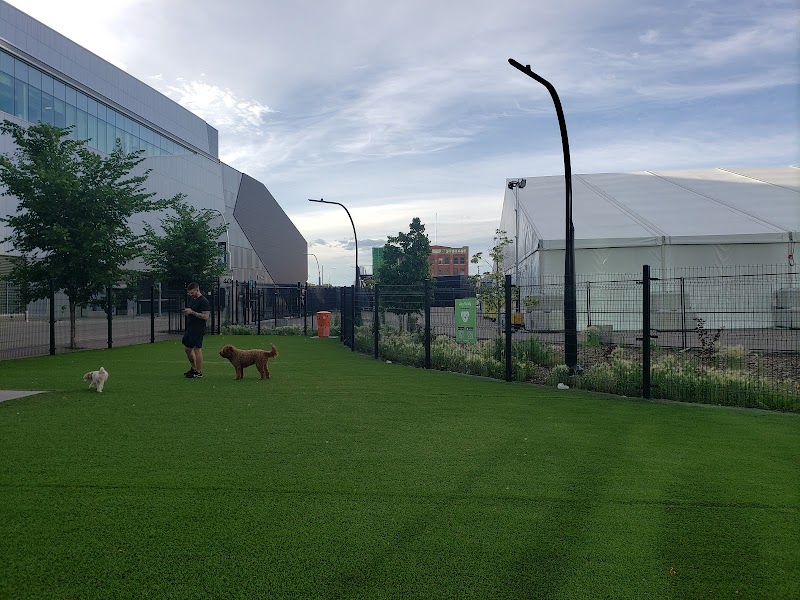 104th Avenue Off-Leash Dog Park dog park in Edmonton, Alberta