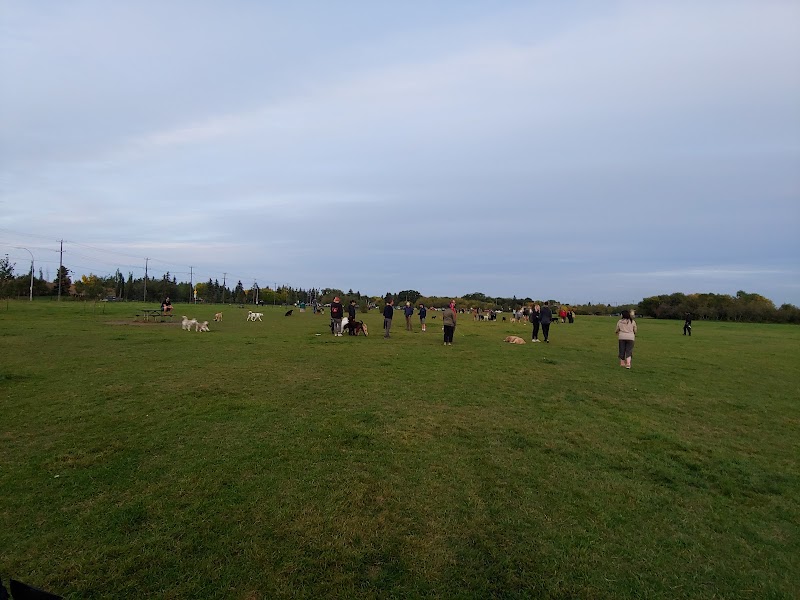 Grand Trunk Park dog park in Edmonton, Alberta